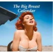 2011 Big Breasts Calendar. Edited by Paul Duncan and Bengt Wanselius. Dian Hanson. Фото 1