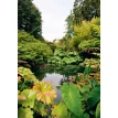 A Garden A Day. Ruth Chivers. Фото 8