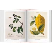 A Garden Eden. Masterpieces of Botanical Illustration. Ганс Вальтер Лак (H. Walter Lack). Фото 5