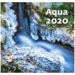 Agua ( Вода) 2020. Фото 1
