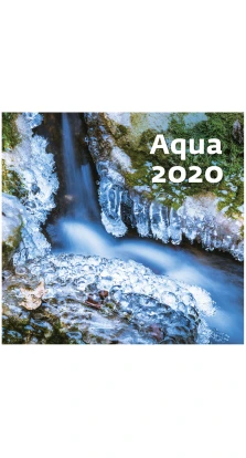 Agua ( Вода) 2020