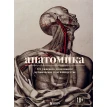 Анатомика. От ужасного до великого: человеческое тело в искусстве. Джоанна Эбенштейн. Фото 1