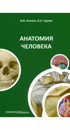 Анатомия человека. В. И. Козлов. О. А. Гурова