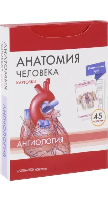Анатомія людини. Ангіологія. Картки (45 штук). М. Р. Сапин. В. Н. Ніколенко. М. О. Тимофєєва