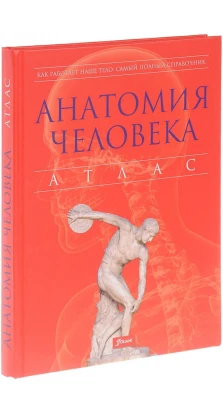 Анатомия человека. Атлас. Питер Абрахамс