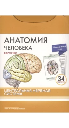 Анатомія людини. Центральна нервова система (34 картки). М. Р. Сапин. В. Н. Ніколенко. М. О. Тимофєєва