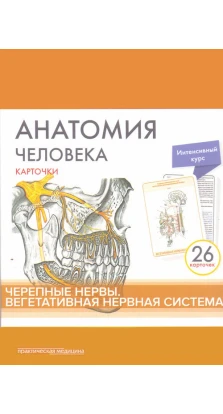 Анатомія людини. Черепні нерви (26 карток). М. Р. Сапин. В. Н. Ніколенко. М. О. Тимофєєва