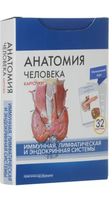 Анатомія людини. Імунна, лімфатична та ендокринна системи (32 картки). М. Р. Сапин. В. Н. Ніколенко. М. О. Тимофєєва
