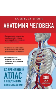 Анатомия человека. Современный атлас с подробными иллюстрациями. Габриэль Лазаревич Билич