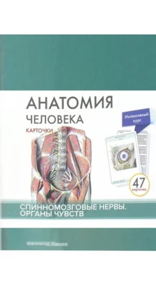 Анатомія людини. Спинномозкові нерви та органи чуття (47 карток). М. Р. Сапин. В. Н. Ніколенко. М. О. Тимофєєва