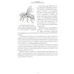 Анатомия и физиология медоносных пчел. Георгий Таранов. Фото 10