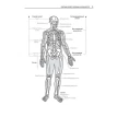 Анатомия скелета. О. А. Гурова. В. И. Козлов. Фото 9