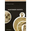 Анатомія скелета. О. А. Гурова. В. И. Козлов. Фото 1