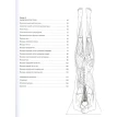 Анатомия йоги: атлас-раскраска. Визуальный гид по телу — от структуры к осознанной практике. Келли Солоуэй. Фото 5