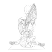 Анатомия йоги: атлас-раскраска. Визуальный гид по телу — от структуры к осознанной практике. Келли Солоуэй. Фото 7