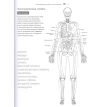 Анатомия йоги: атлас-раскраска. Визуальный гид по телу — от структуры к осознанной практике. Келли Солоуэй. Фото 8