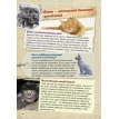 Моя казкова енциклопедія. Про тварин. Фото 11