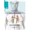 Атлас анатомии человека: Все органы человеческого тела. Parramon Editorial Team. Фото 1