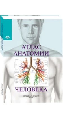 Атлас анатомии человека: Все органы человеческого тела. Parramon Editorial Team