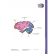 Атлас анатомії головного мозку. Наочне керівництво для вивчення анатомії ЦНС. Джозеф Ханавей. Мохтар Х. Гадо. Томас А. Вулсі. Фото 26