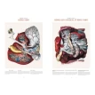 Atlas of Anatomy. J M Bourgery. N H Jacob. Edited by Paul Duncan and Bengt Wanselius. Фото 3