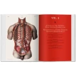 Atlas of Anatomy. Жан-Батист Марк Буржери. Фото 4