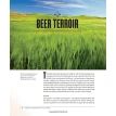 Atlas of Beer. Ненси Холст-Пуллен. Марк Паттерсон. Фото 15