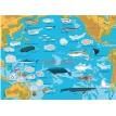 Атлас океанів з багаторазовими наліпками. Фото 2