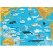 Атлас океанов с многоразовыми наклейками. Фото 2