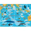 Атлас океанов с многоразовыми наклейками. Фото 3