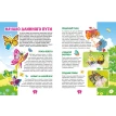 Бабочки. Детская энциклопедия. Фото 2