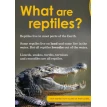 BBC Earth. Do You Know? Level 3. Reptiles. Alex Woolf. Фото 5