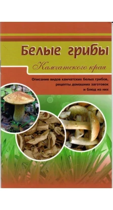 Белые грибы. Описание видов камчатских белых грибов, рецепты домашних заготовок и блюд из них