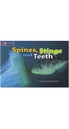 Big Cat 5 Spines, Stings and Teeth. Workbook. Angie Belcher