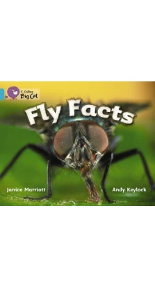 Big Cat 7 Fly Facts. Workbook. Janice Marriott