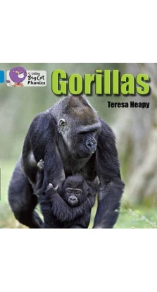 Gorillas. Teresa Heapy 