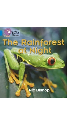 Rainforest at night. Nic Bishop