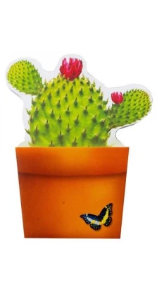 Bloomnotes Cactus