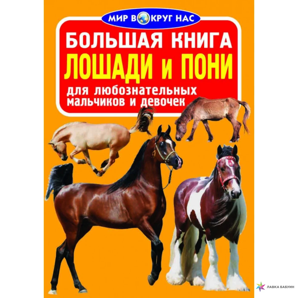 Книги верховая. Книги про лошадей. Книга лошади и пони. Книги о лошадях для детей. Большая книга о лошадях.
