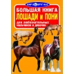 Большая книга. Лошади и пони. Олег Завязкин. Фото 1