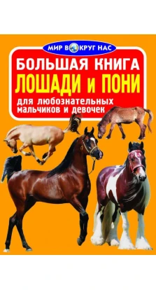 Большая книга. Лошади и пони. Олег Завязкін
