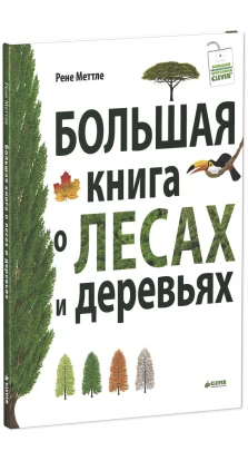 Большая книга о лесах и деревьях. Рене Меттле