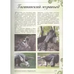 Большая книга о животных. 1001 фотография. Дарья Ермакович. Фото 9