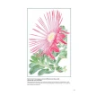 Ботаническая иллюстрация. Руководство по рисованию от Королевских ботанических садов Кью. Кристабель Кинг. Фото 7