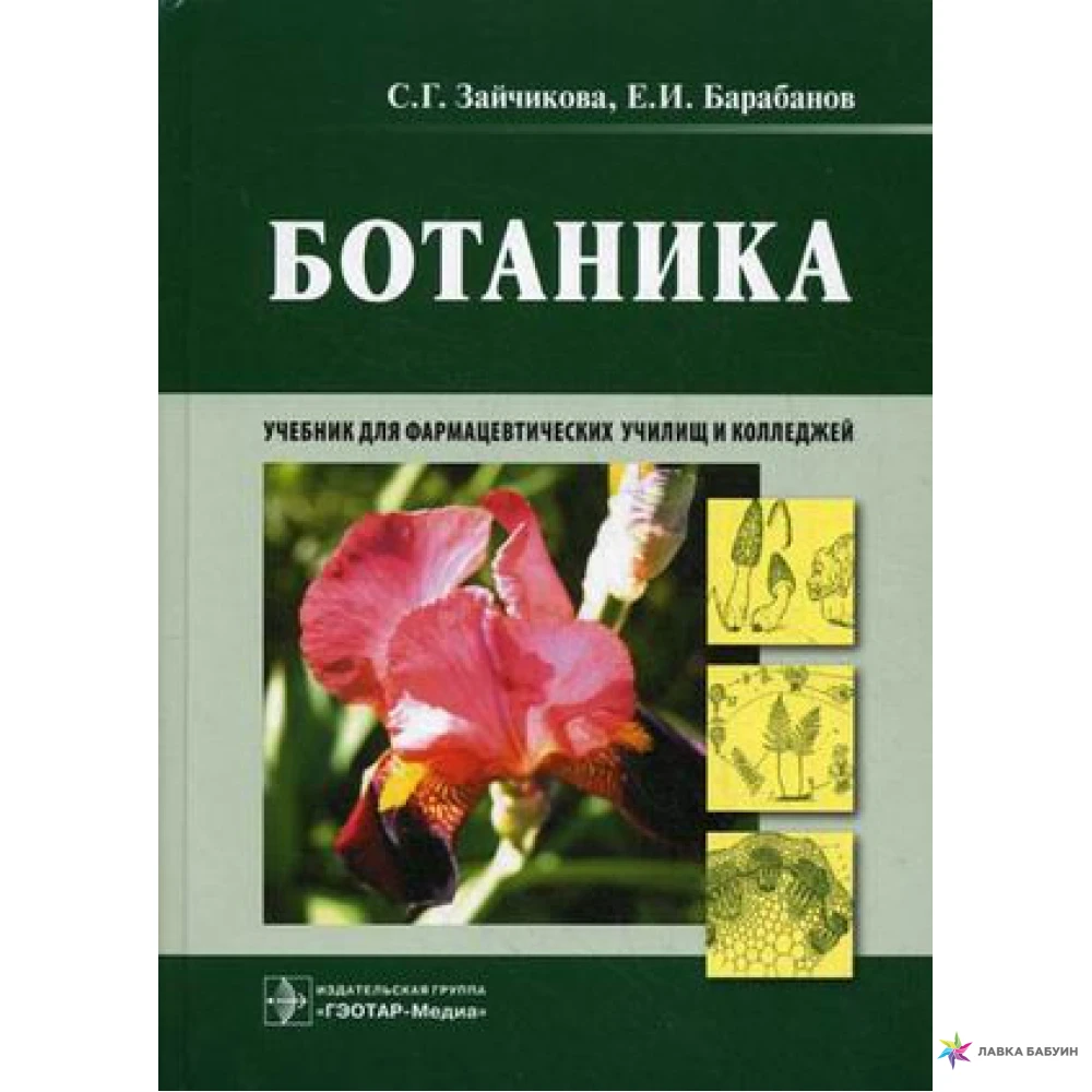 Курс по ботанике. Ботаника учебник. Зайчикова ботаника. Ботаника ботаника учебник. Учебник по ботанике для вузов.