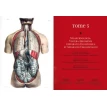 Bourgery. Atlas of Human Anatomy and Surgery. Фото 3