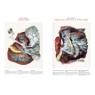 Bourgery. Atlas of Human Anatomy and Surgery. Фото 4