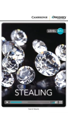Stealing High Beginning Book with Online Access. David Maule