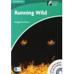 Running Wild Level 3 Lower-intermediate Book with CD-ROM and Audio CDs (2) Pack. Margaret Johnson. Фото 1