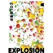 Colour explosion. Тетрадь общая 48 л. Фото 1